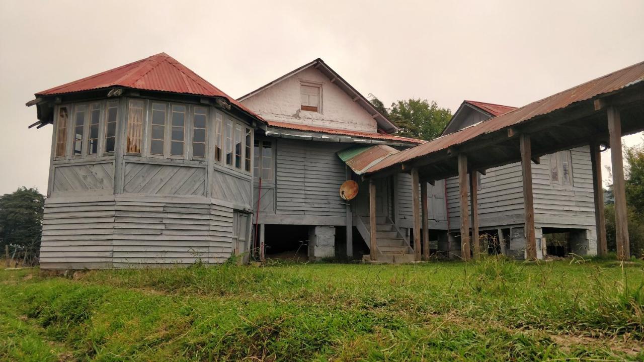 Black Bear Cottage Khajjiar Exterior foto