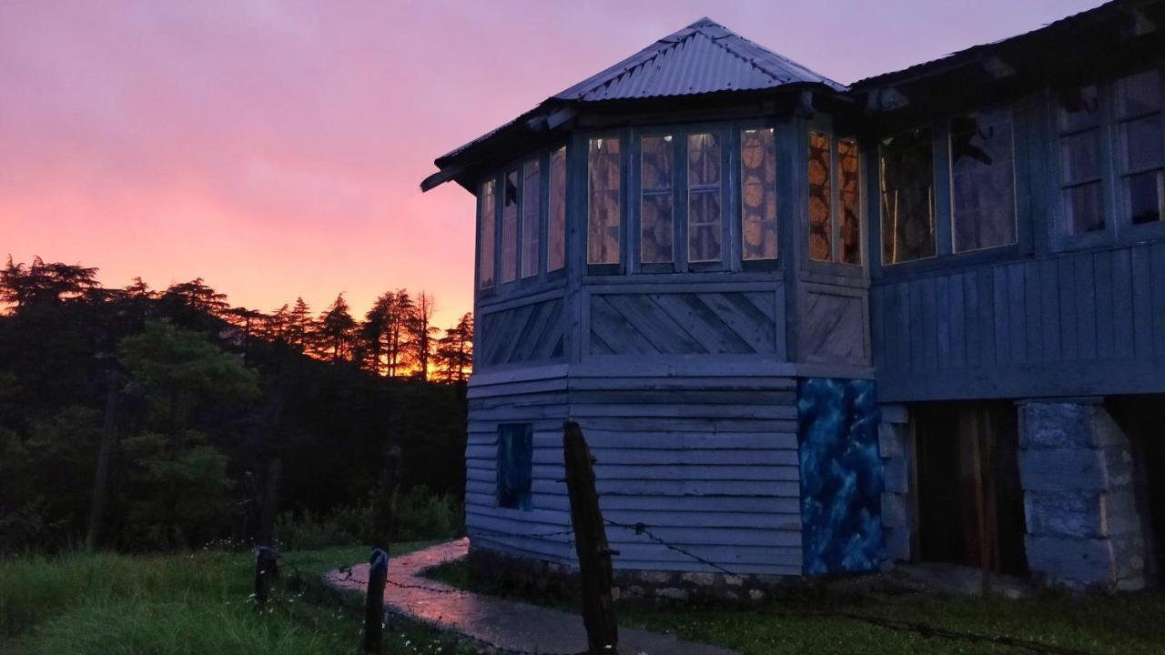 Black Bear Cottage Khajjiar Exterior foto
