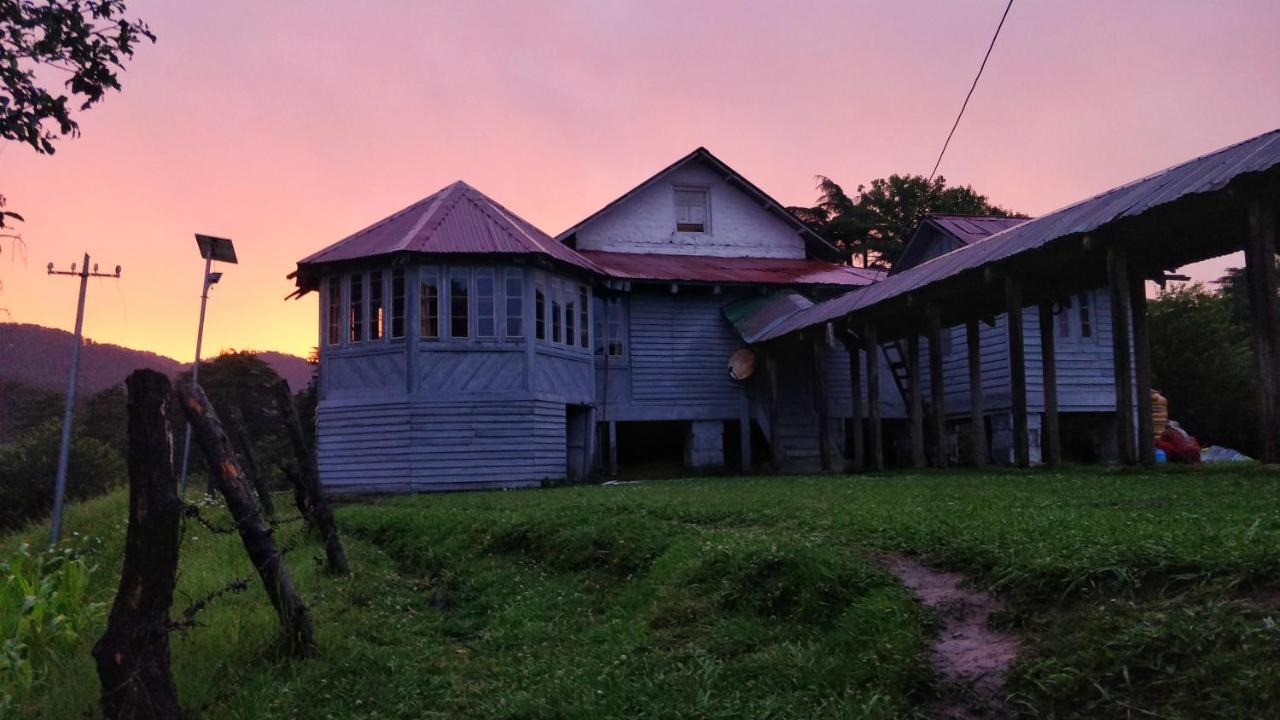 Black Bear Cottage Khajjiar Exterior foto