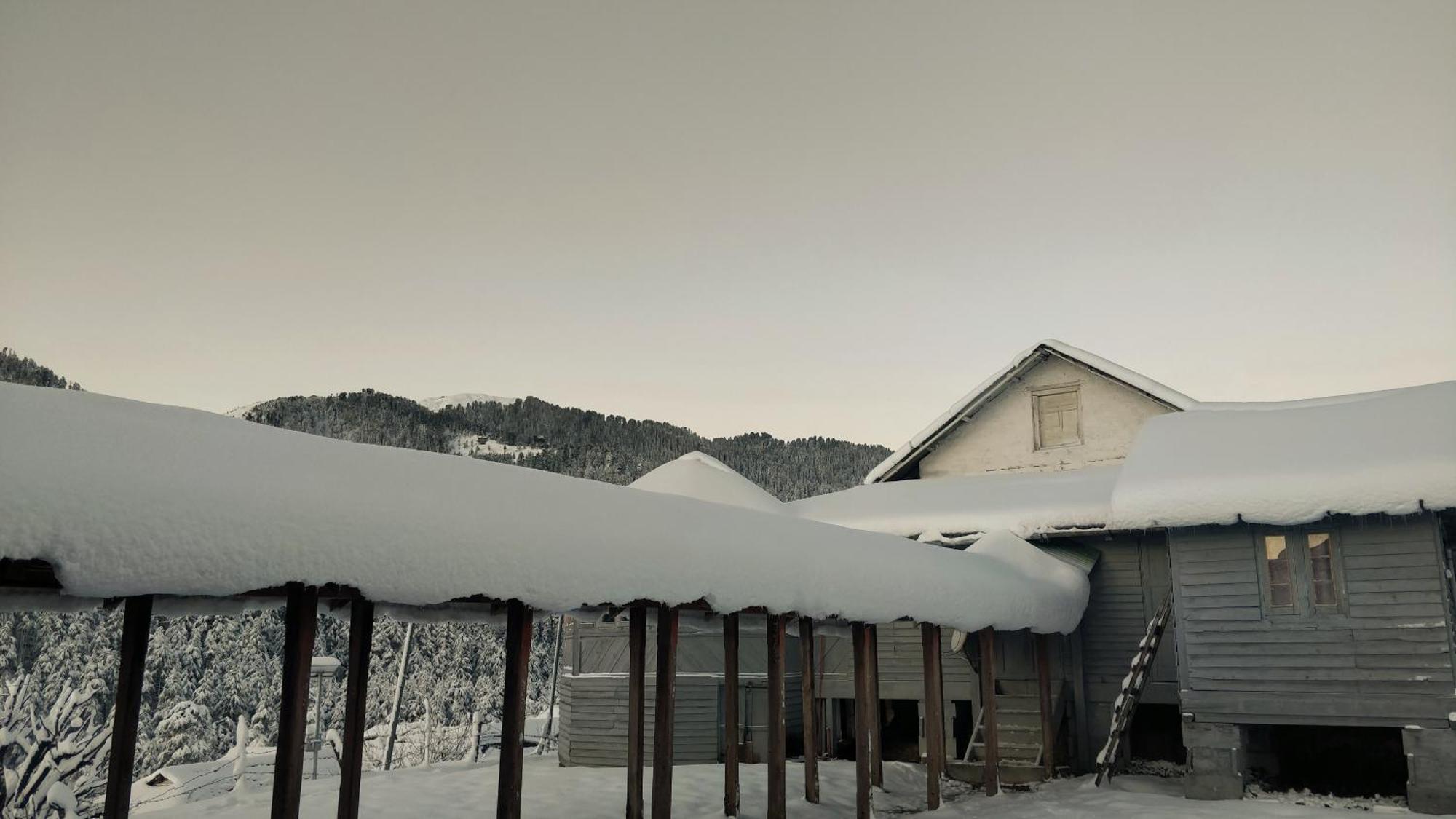 Black Bear Cottage Khajjiar Exterior foto